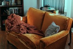 Photo "How to easily add atmosphere to your living room with a throw blanket"