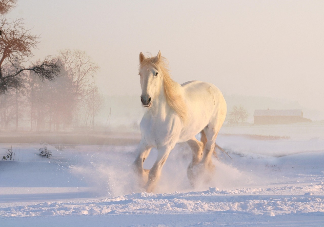 Nobel paard voor gouden herfstboom schilderij.