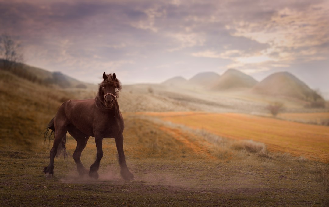 Paard in herfstbos, symboliek van edelheid.
